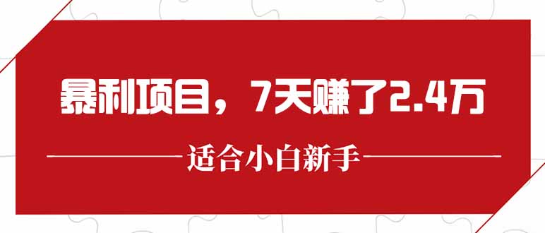 最新暴利项目，每单收益轻松在300以上，7天赚了2.4万-网创吧