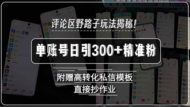 评论区野路子玩法揭秘！单账号日引300+精准粉，附赠高转化私信模板，直…-网创吧