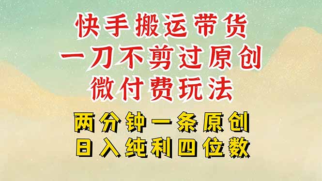 快手黑科技搬运带货，一刀不剪过原创，微付费投流玩法，轻松日入四位数…-网创吧