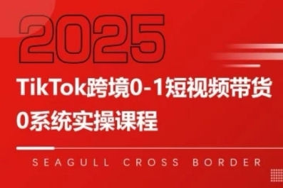 TikTok跨境0-1短视频带货，系统拆解TikTok跨境带货全链路，实现跨境可持续盈利-网创吧