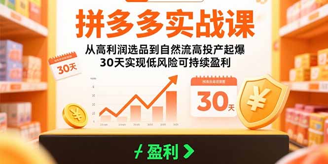 拼多多实战课：从高利润选品到自然流高投产起爆 30天实现低风险可持续盈利-网创吧