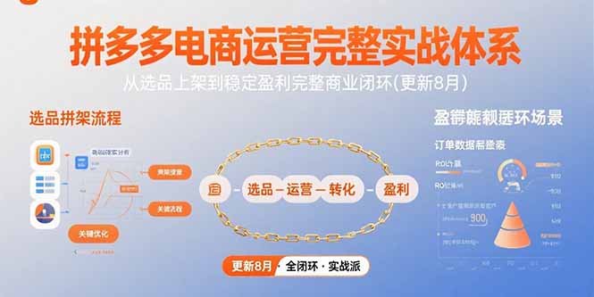 拼多多电商运营完整实战体系，从选品上架到稳定盈利完整商业闭环(更新8月-网创吧