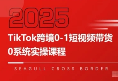 大亿老师·TikTok跨境0-1短视频带货-网创吧