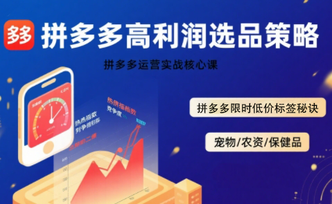 久号老师·拼多多选品暴利技术实战课-网创吧