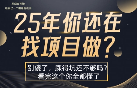 25年，你还在疯狂的找项目吗？别傻了，看完这个你都懂了【揭秘】-网创吧