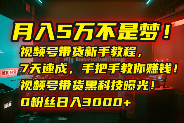 月入5万不是梦！视频号带货新手教程，7天速成，手把手教你赚钱！视频号…-网创吧