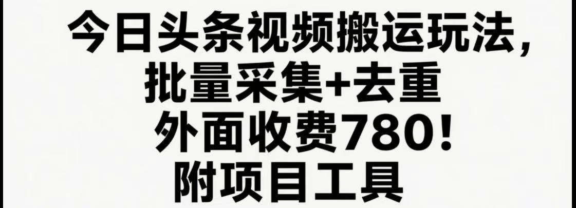 今日头条视频搬运玩法，软件一键去重，轻松日入500+附项目工具-网创吧