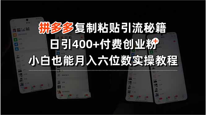 拼多多复制粘贴引流秘籍，日引400+付费创业粉，小白也能月入六位数实操…-网创吧