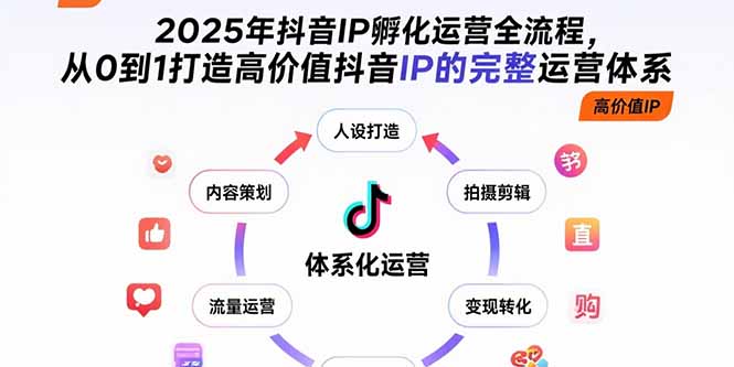 2025年抖音IP孵化运营全流程，从0到1打造高价值抖音IP的完整运营体系-网创吧