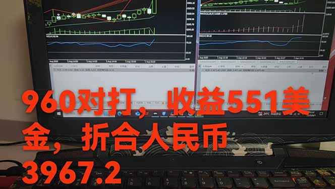 图片[1]-稳定8年的美刀搬砖项目，单人每日收益800—3000.团队4人月入10W+.可线下-网创吧