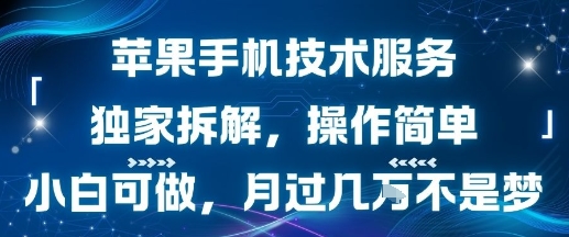 苹果手机技术服务，独家拆解，操作简单，小白可做，月过1W不是梦-网创吧