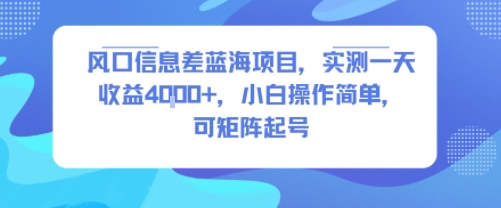 风口信息差蓝海项目，实测一天收益4k+，小白操作简单，可矩阵起号-网创吧