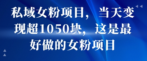 私域女粉项目，当天变现超1k，这是最好做的女粉项目，可放大操作-网创吧