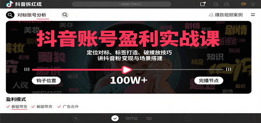 抖音账号盈利实战课，定位对标、标签打造、破播放技巧，讲涨粉变现与场景搭建-网创吧