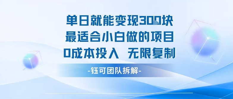 单日就能变现3张最适合小白做的项目0成本投入 无限复制-网创吧