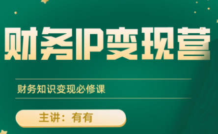 有有老师·财务IP变现营，财务知识变现必修课-网创吧