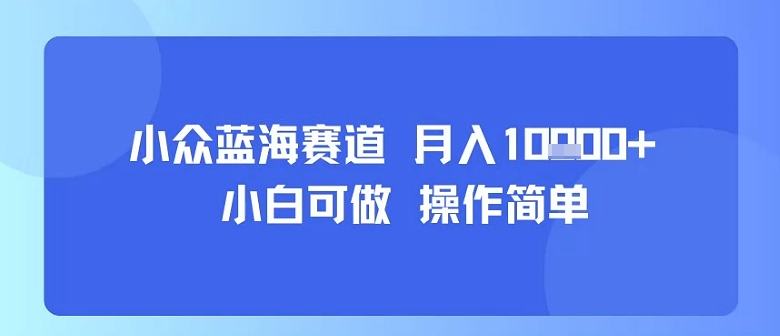 小众蓝海赛道，小白可做，操作简单，每天30分钟，月入1W+-网创吧
