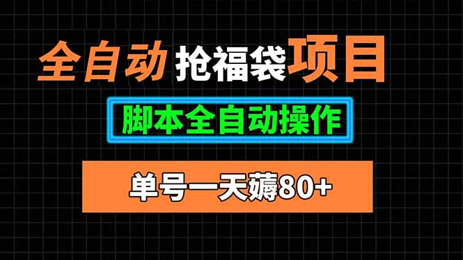 全自动抢福袋项目，单号一天80+脚本全自动操作-网创吧