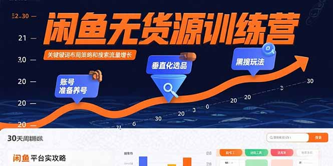 闲鱼无货源训练营：账号准备养号/垂直化选品/黑搜玩法，0基础30天盈利指南-网创吧