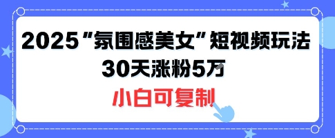 不露脸也能火！2025“氛围感美女”短视频玩法，30天涨粉5W小白可复制-网创吧