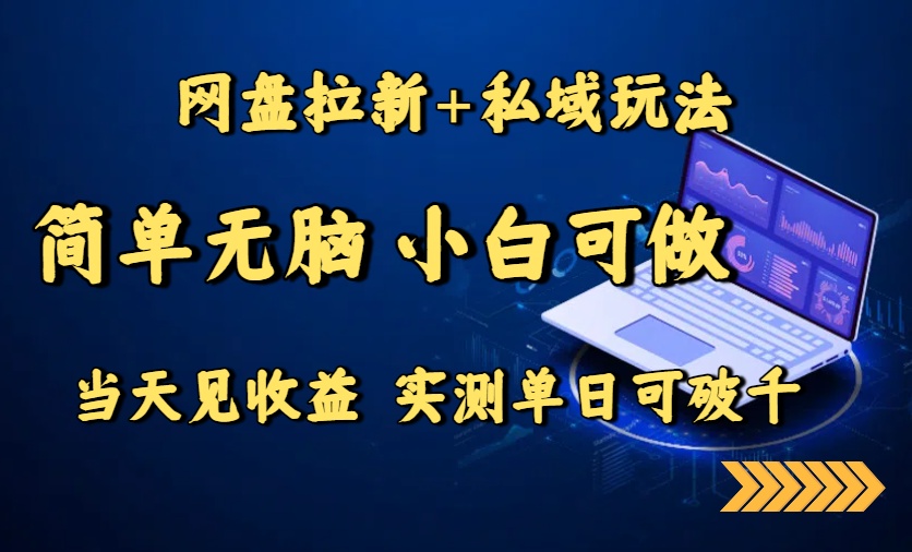 网盘拉新+私域玩法，简单无脑，小白可做，当天见收益，实测单日可破千-网创吧