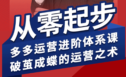 海神·拼多多运营进阶系统课(更新8月)-网创吧