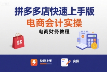 拼多多店快速上手版电商会计实操-电商财务教程-网创吧