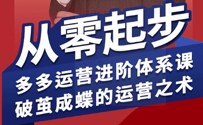 拼多多运营进阶系统课，从零起步，多多运营进阶体系课，破茧成蝶的运营之术-网创吧