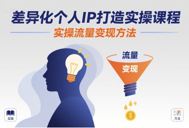 差异化个人IP打造实操课程，实操流量变现方法-网创吧