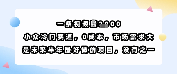 一条视频挣1k，小众冷门赛道，0成本，市场需求大，是未来半年最好做的项目，没有之一-网创吧