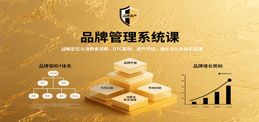 品牌管理系统课：战略定位与消费者洞察，DTC案例、资产评估，增长与公关体系搭建-网创吧