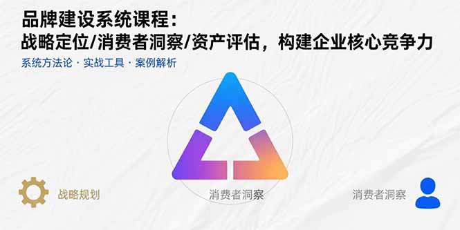 品牌建设系统课程：战略定位/消费者洞察/资产评估，构建企业核心竞争力-网创吧
