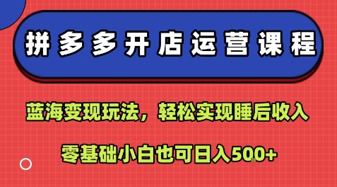 拼多多开店运营课程：蓝海变现玩法，轻松实现睡后收入，零基础小白也可日入5张-网创吧