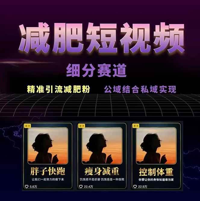 图片[2]-减肥短视频运营实战课：含素材制作、剪映教学，讲精准引流、变现设计与内容模板技巧-网创吧