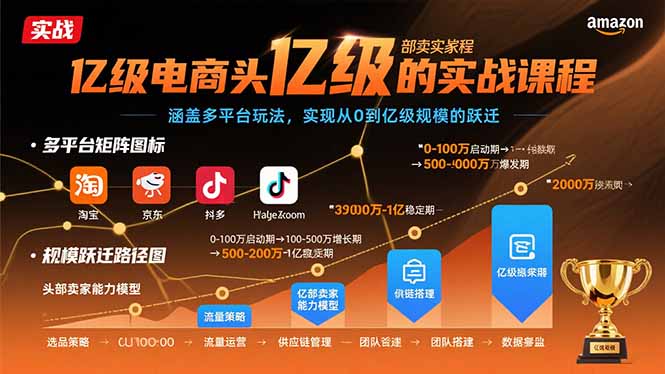 亿级电商头部卖家的实战课程：涵盖多平台玩法，实现从0到亿级规模的跃迁-网创吧