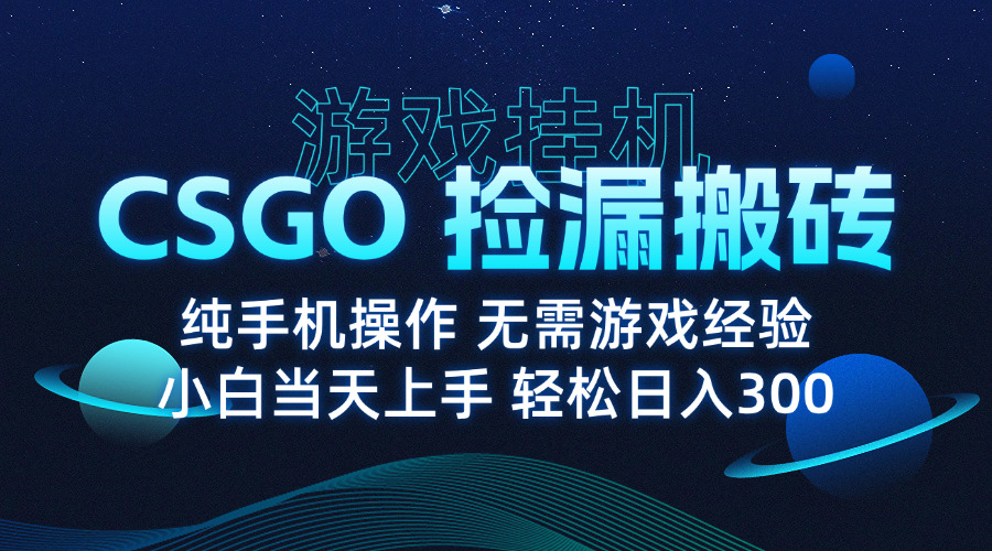 8月最新游戏搬砖，CSGO纯挂机，不需要玩游戏，实现真挂机，月入1W+-网创吧