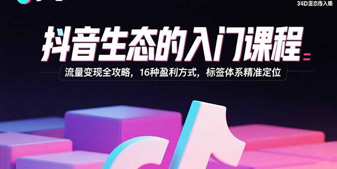 抖音生态的入门课程：流量变现全攻略，16种盈利方式，标签体系精准定位-网创吧