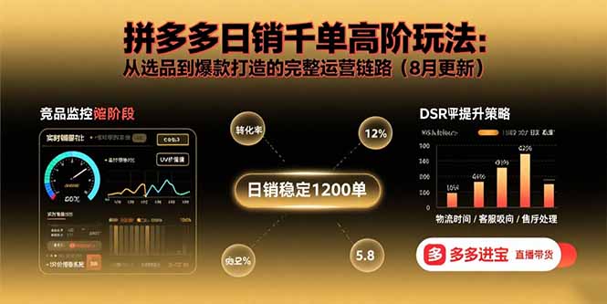 拼多多日销千单高阶玩法：从选品到爆款打造的完整运营链路(8月更新-网创吧