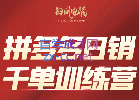 白凤电商·拼多多日销千单训练营(更新8月)-网创吧