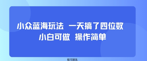 小众蓝海玩法 一天搞了四位数 小白可做 操作简单-网创吧