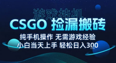 8月最新游戏搬砖，CSGO纯挂G，不需要玩游戏，实现真挂G，月入1W+【揭秘】-网创吧