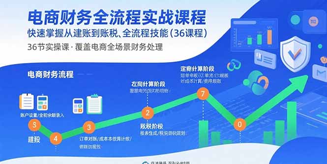 电商财务全流程实战课程：快速掌握从建账到报税的全流程技能(36节课-网创吧