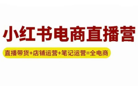 申铭老师·小红书电商直播营(更新)-网创吧