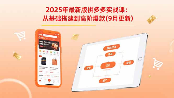 2025年最新版拼多多实战课：从基础搭建到高阶爆款(9月更新-网创吧