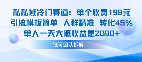 私域冷门赛道单个收费198米引流模板简单人群精准 45%的转化率单人一天大概收益多张-网创吧