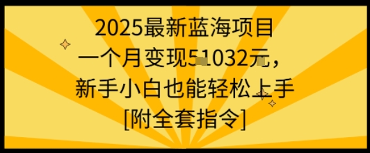 2025最新蓝海项目一个月变现1w+新手小白也能轻松上手【附全套指令】-网创吧