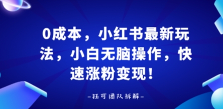 0成本，小红书最新玩法，小白无脑操作，快速涨粉变现-网创吧