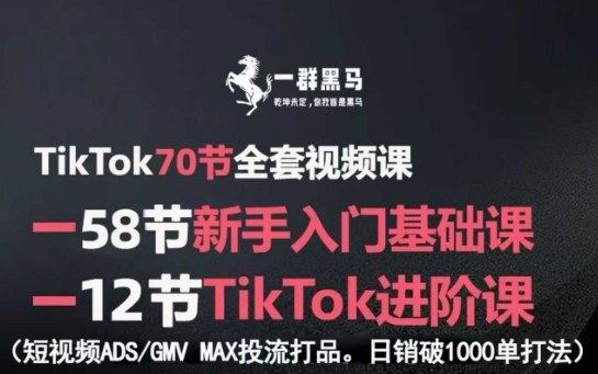 TikTok全套视频课，新手入门+进阶课，短视频ADS-GMV MAX投流打品，日销破1000单打法-网创吧