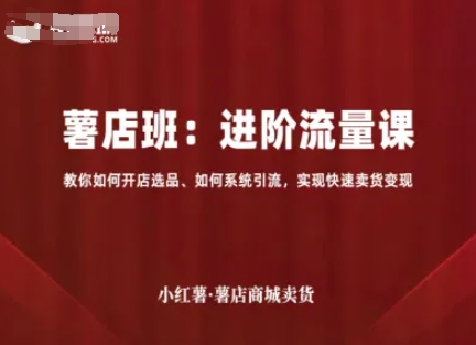 小红薯薯店商城卖货，进阶流量课，教你如何开店选品、如何系统引流，实现快速卖货变现-网创吧
