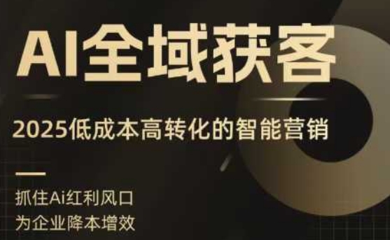 AI全域获客实训营，2025低成本高转化的智能营销，精准找客，高效营销-网创吧